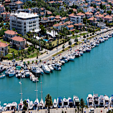 Sisus Marina